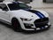 2020 Ford Mustang Shelby GT500