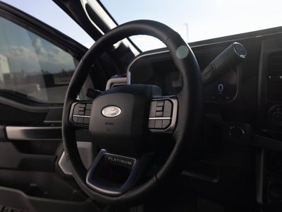 2025 Ford Super Duty F-350 SRW Platinum