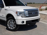 2013 Ford F-150 Platinum