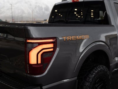 2024 Ford F-150 Tremor
